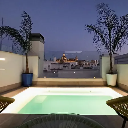 Luxury Penthouse With Private Pool Setas Monument Lejlighed